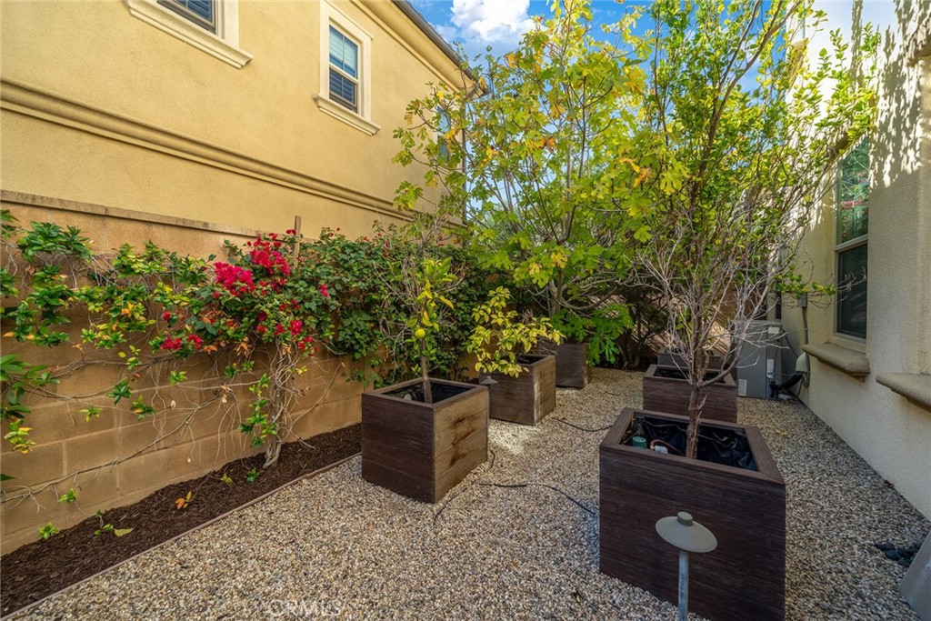 Fig, Lemon & Lime tree! - 52 Woodhill, Irvine CA 92620 - photo 60