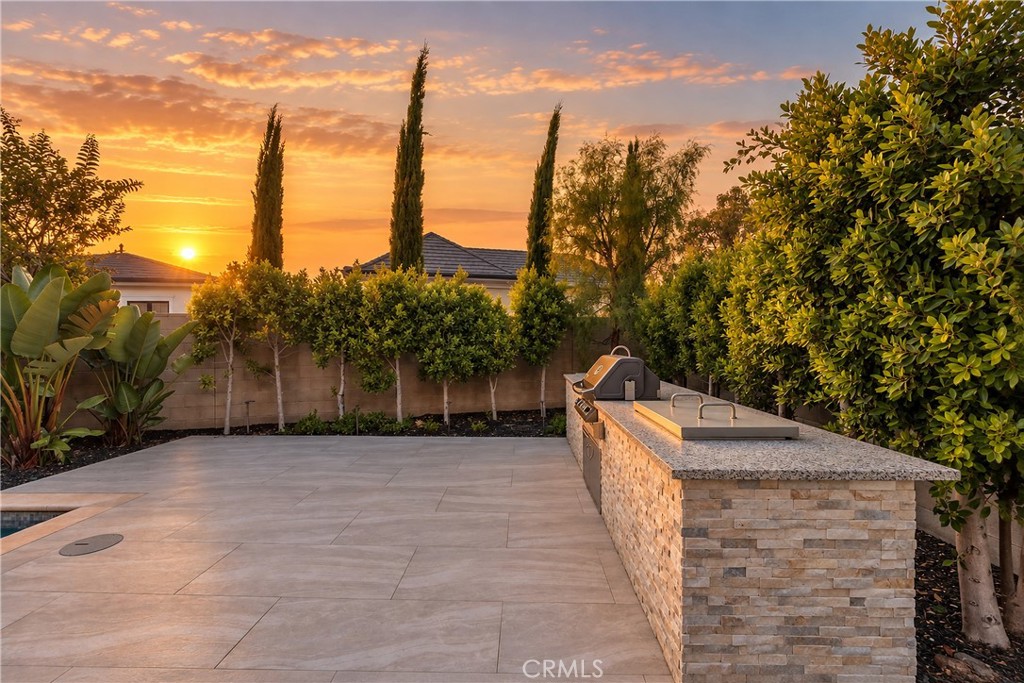 Backyard Outdoor Kitchen & BBQ - 58 Egret, Irvine CA 92618 - photo 60