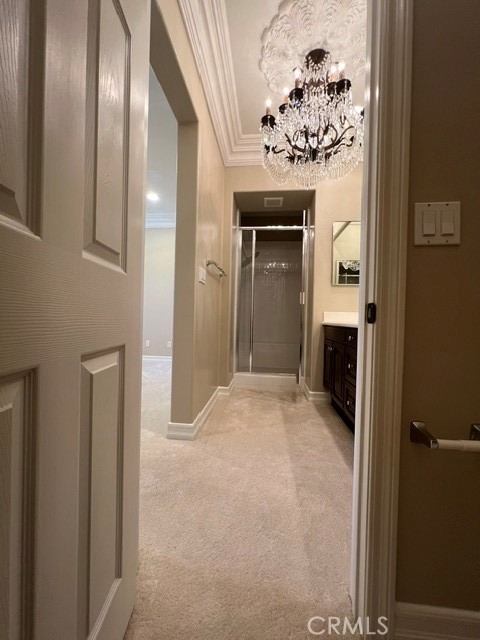 70 Passage, Irvine CA 92603 - photo 46