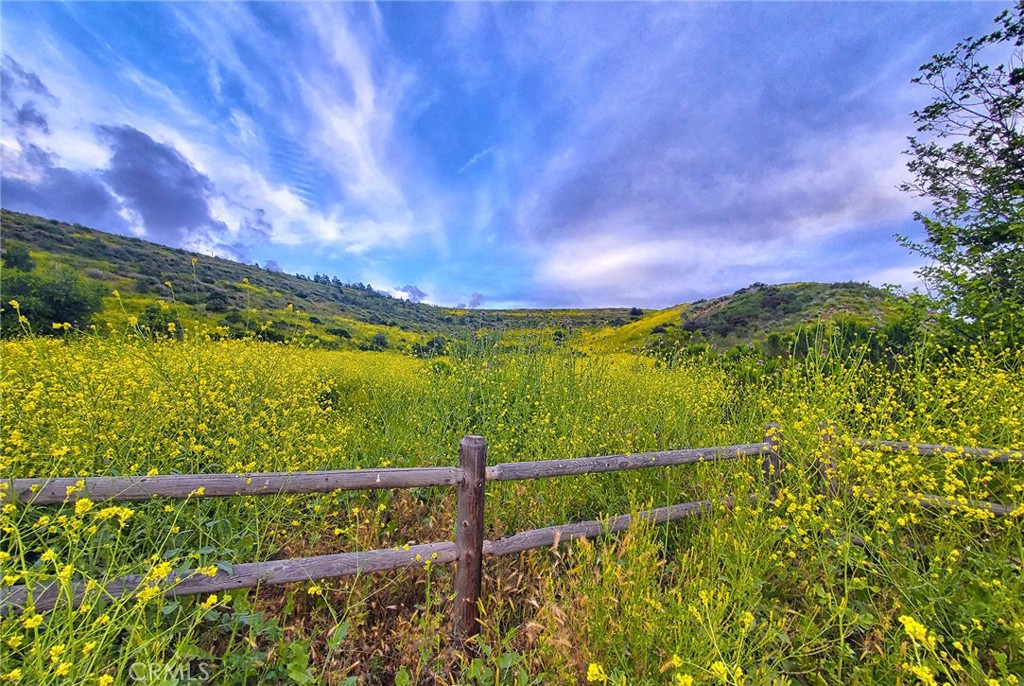Peter Canyon for those loving the outdoors - 8 National Place, Irvine CA 92602 - photo 67