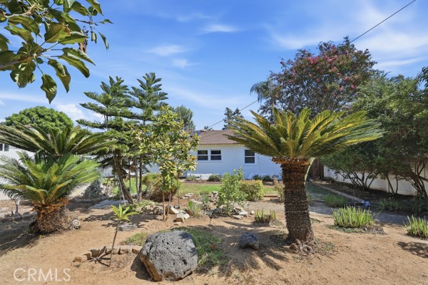 Main House Back Yard - 1111 Carol Street, La Habra CA 90631 - photo 37