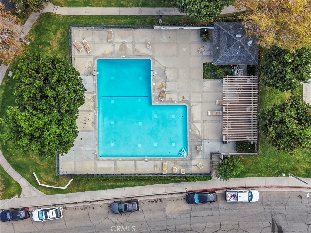 Pool surrounded by mature trees - 1401 Cheltenham Lane, La Habra CA 90631 - photo 31