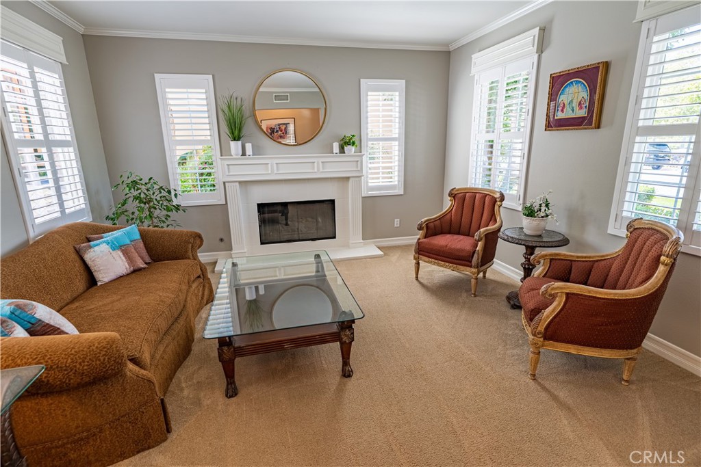 24 Daisy Street, Ladera Ranch CA 92694 - photo 8