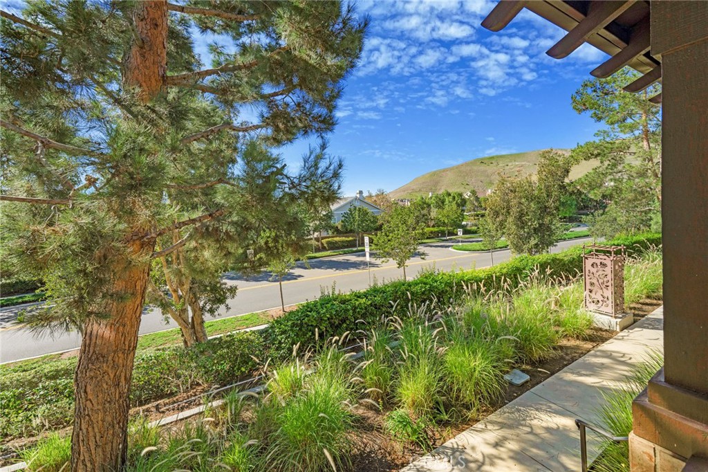 Views of Front Patio - 34 Clifford Ln, Ladera Ranch CA 92694 - photo 4