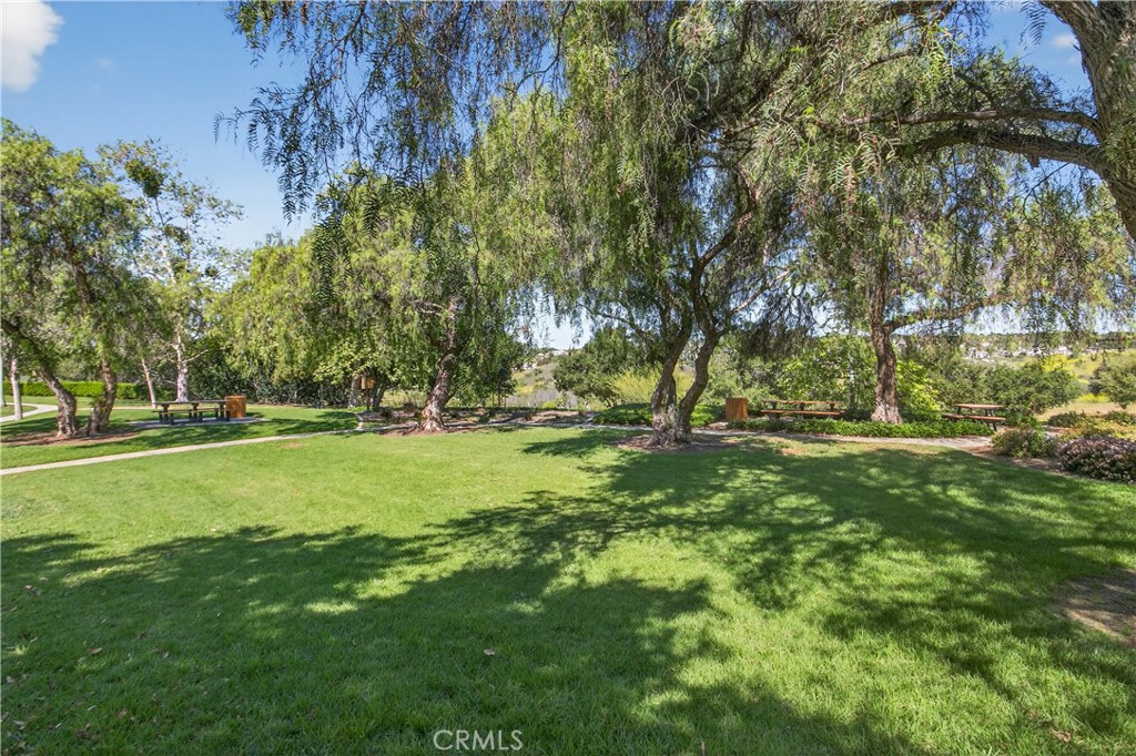 pocket park - 36 Winfield Drive, Ladera Ranch CA 92694 - photo 30