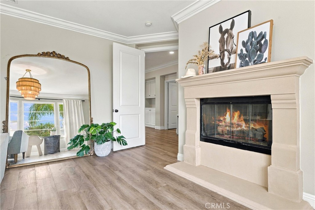 4 Adele Street, Ladera Ranch CA 92694 - photo 45