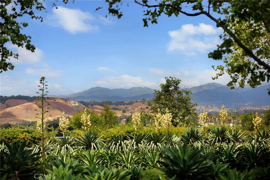 Mountain views throughout the neighborhood - 4 Toribeth Street 8, Ladera Ranch CA 92694 - photo 17