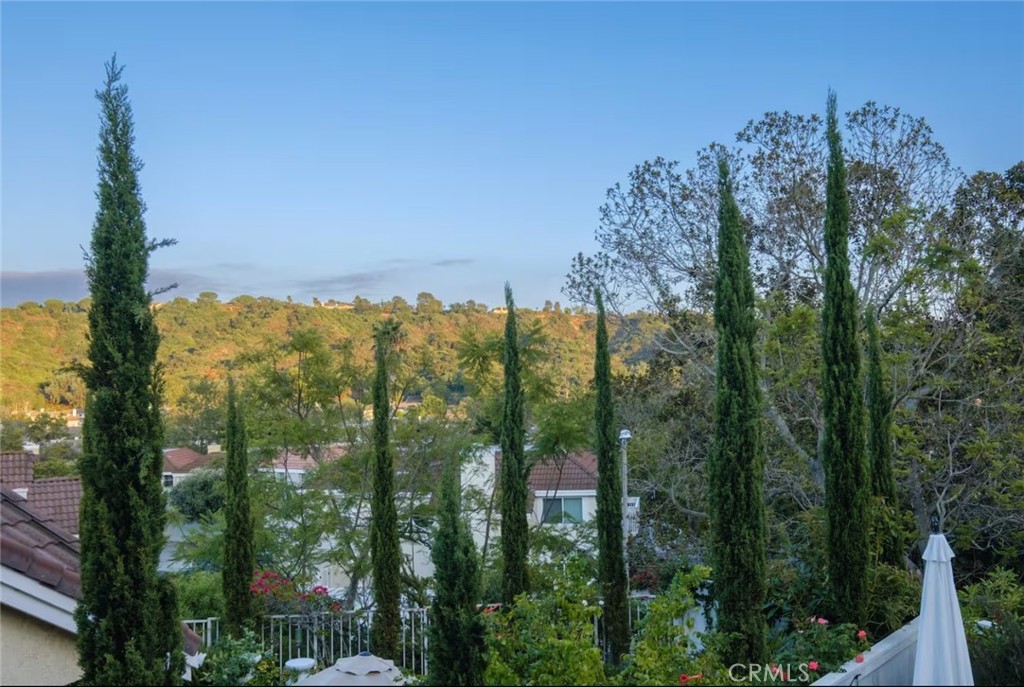 1 Encinitas Ct, Laguna Beach CA 92651 - photo 40