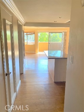 100 Cliff Drive 3, Laguna Beach CA 92651 - photo 14