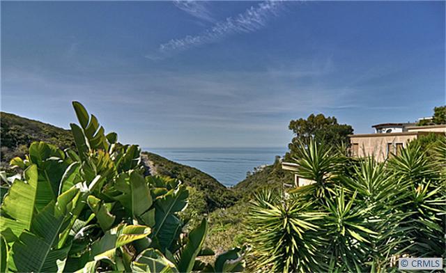 Enjoy canyon and ocean views. - 1006 ORO Street, Laguna Beach CA 92651 - photo 1
