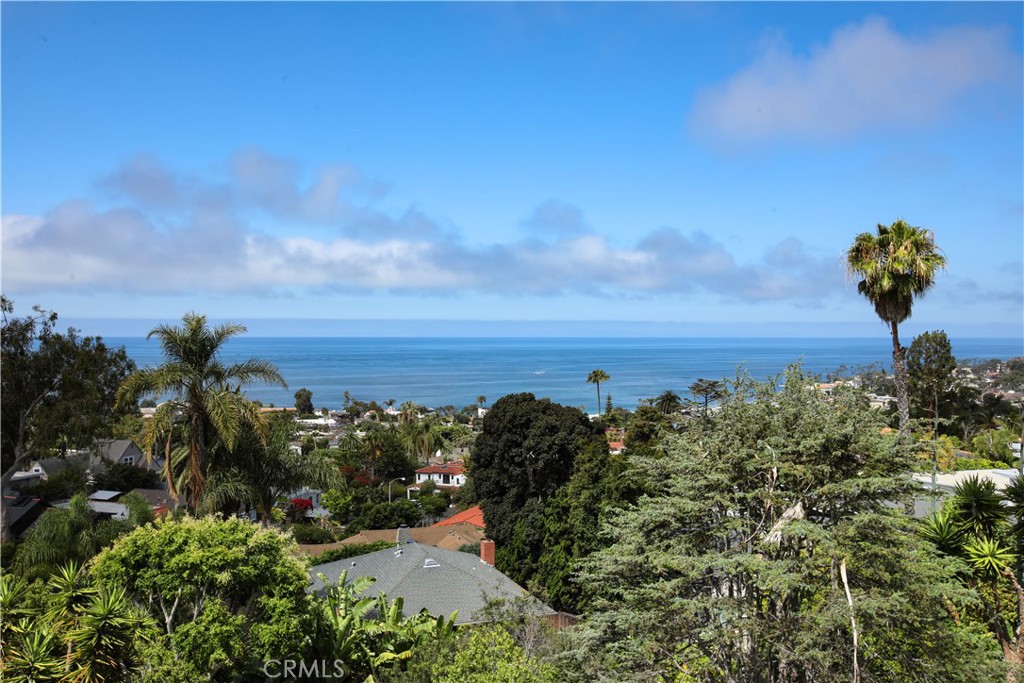 Just in time for summer...welcome to 1017 Skyline Drive!! This is the fabulous view from the main level living and dinin - 1017 Skyline Drive, Laguna Beach CA 92651 - photo 1
