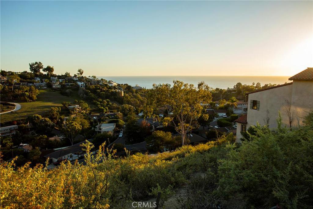 View from standing on the lot at the street. - 1033 Flamingo Road, Laguna Beach CA 92651 - photo 1