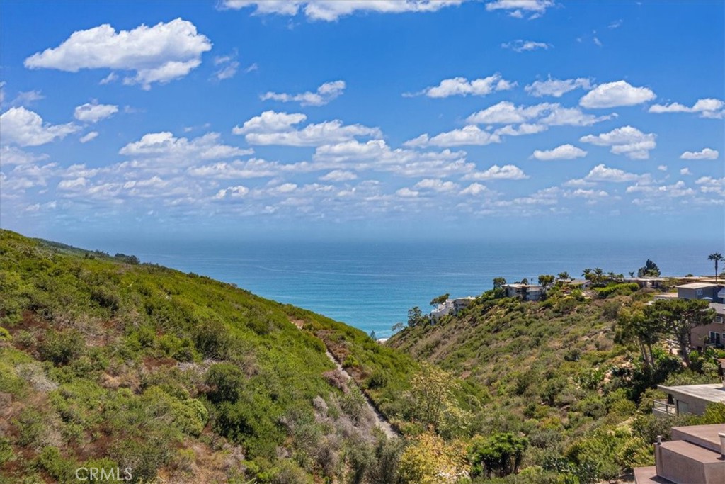 1046 Oro, Laguna Beach CA 92651 - photo 43