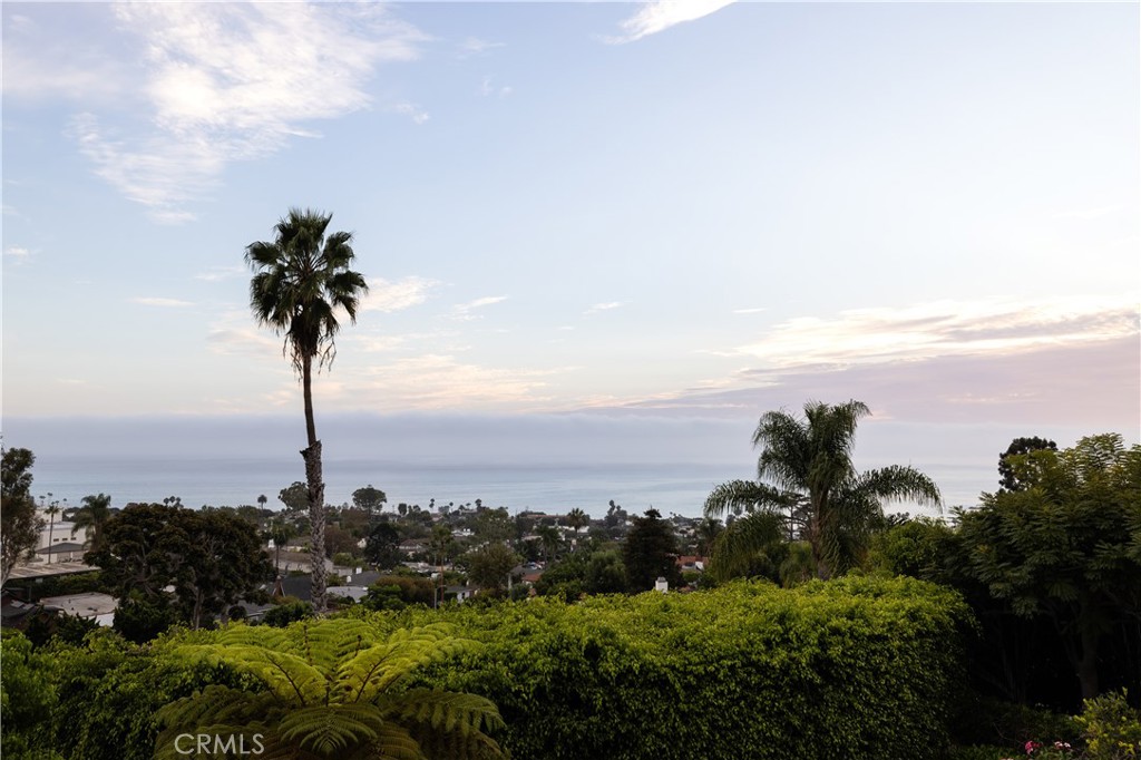 1061 Skyline, Laguna Beach CA 92651 - photo 41