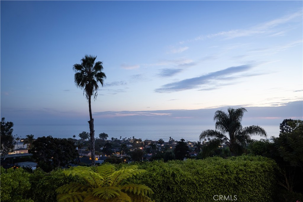 1061 Skyline, Laguna Beach CA 92651 - photo 47