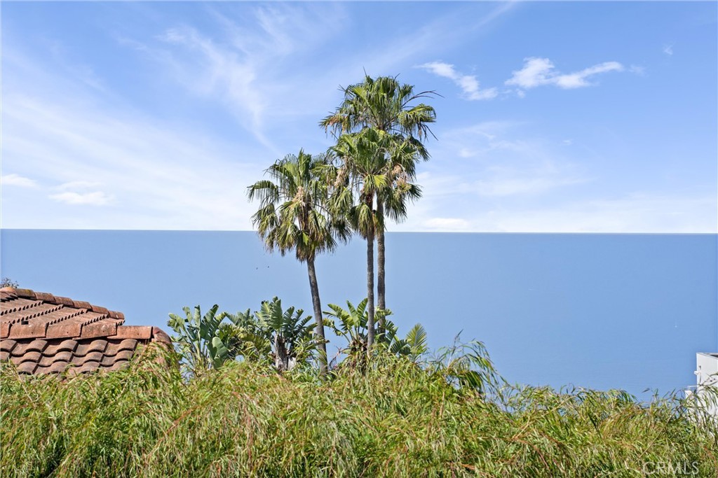 1095 Miramar, Laguna Beach CA 92651 - photo 54