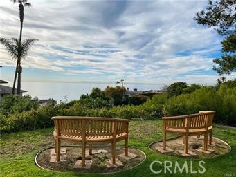 110 Blue Lagoon, Laguna Beach CA 92651 - photo 13