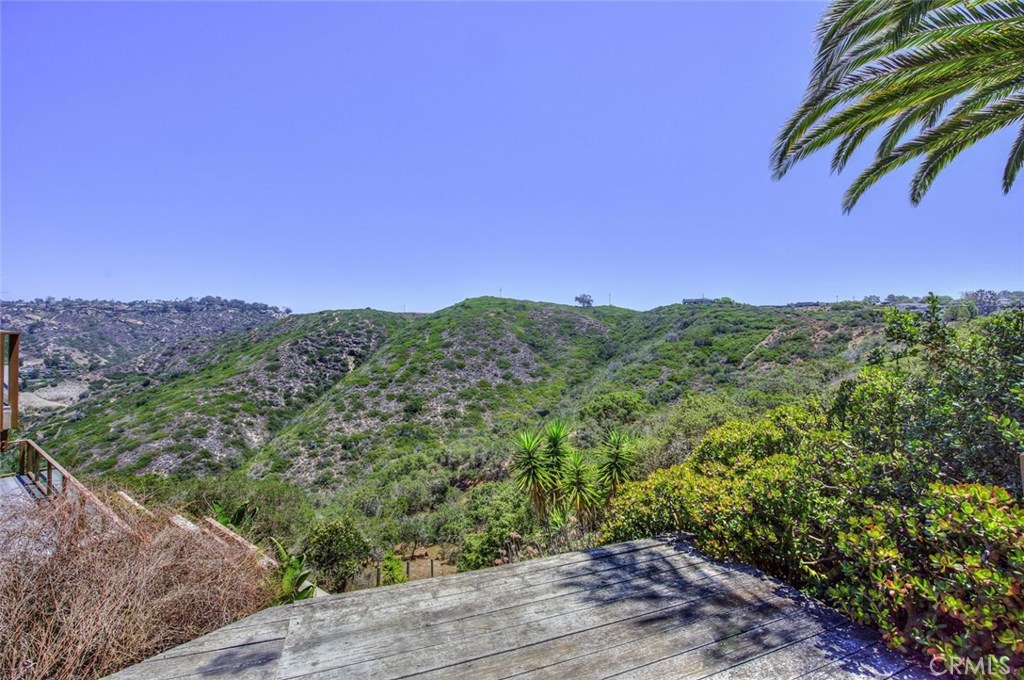 View From Backyard, with nobody behind - 1174 Noria Street, Laguna Beach CA 92651 - photo 1