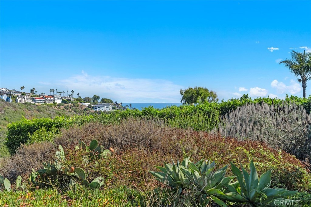 1285 Cortez Avenue, Laguna Beach CA 92651 - photo 35