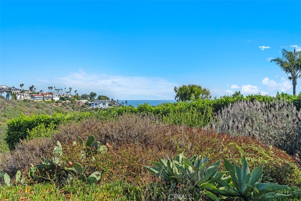 1285 Cortez Avenue, Laguna Beach CA 92651 - photo 35