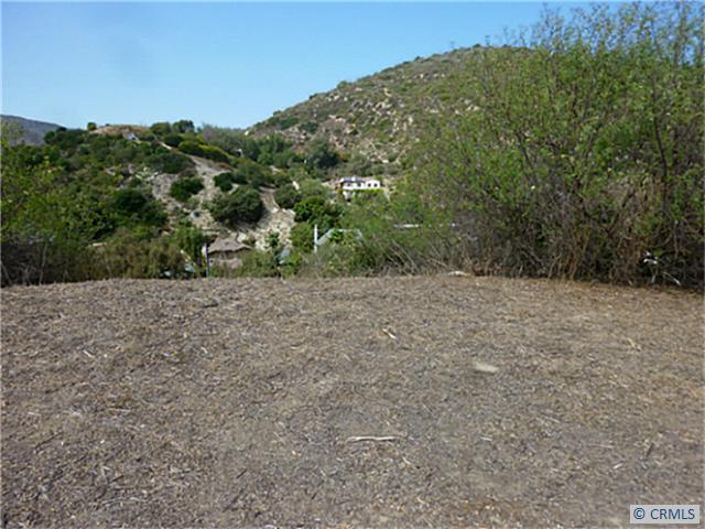 1324 LEWELLYN Drive, Laguna Beach CA 92651 - photo 1