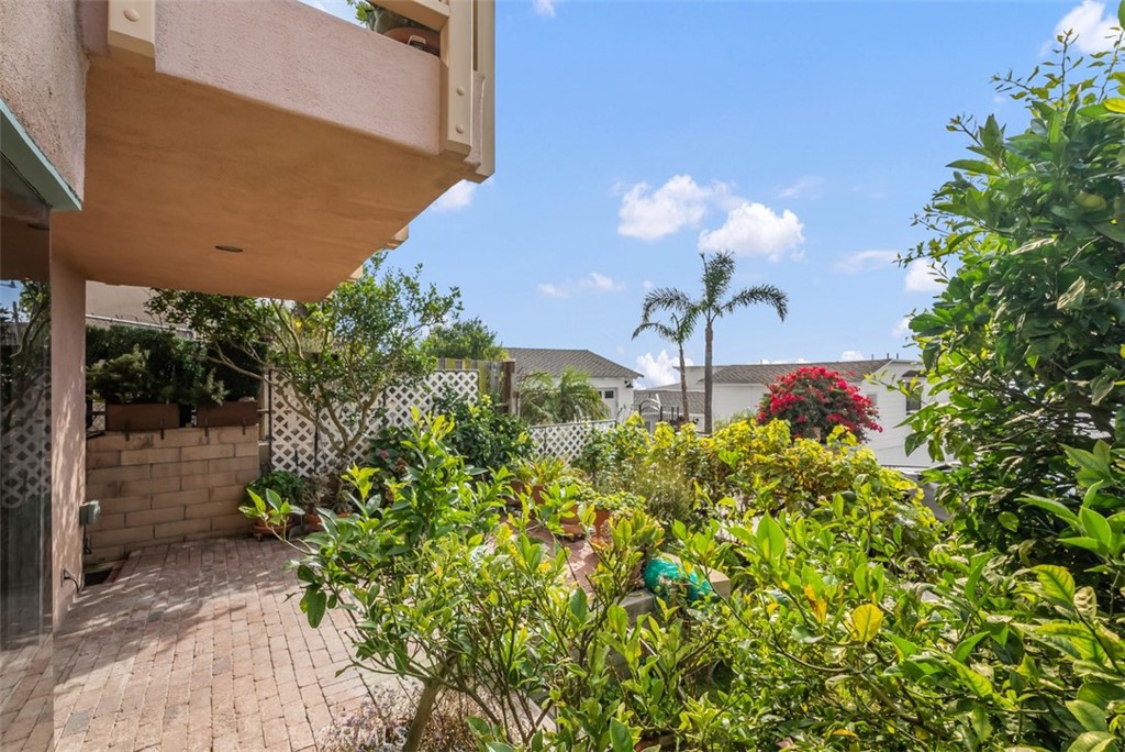Lots of mature fruit trees / bushes on property - 1325 La Mirada Street, Laguna Beach CA 92651 - photo 25