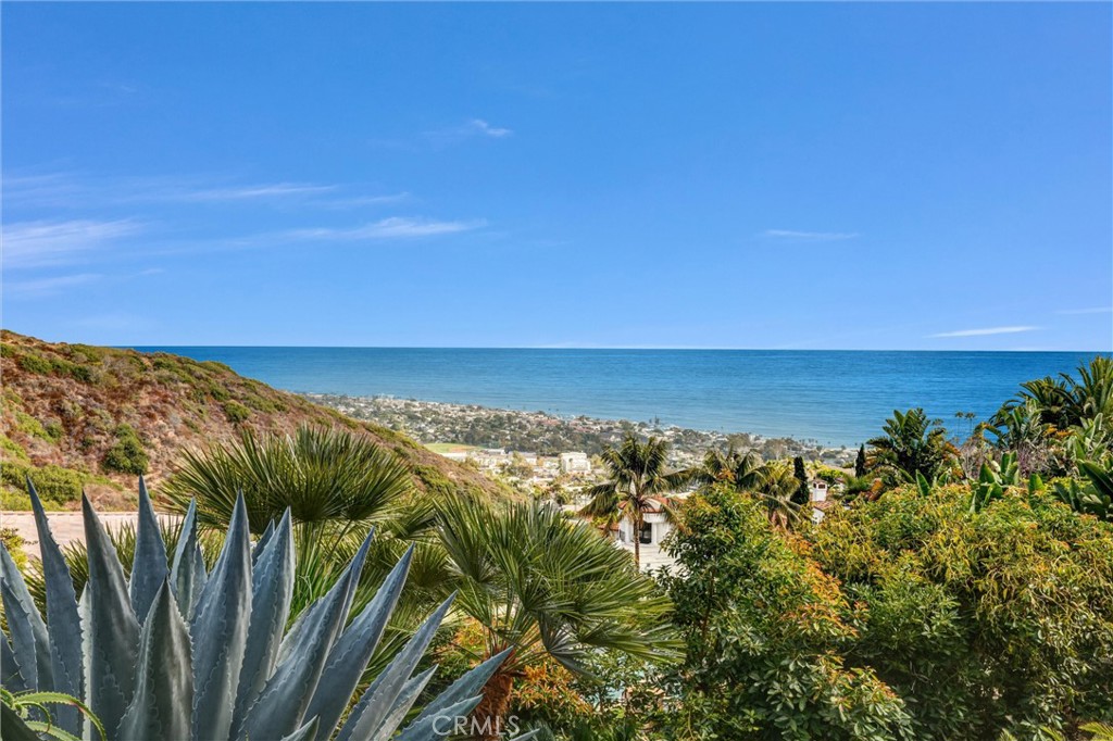 1326 Skyline, Laguna Beach CA 92651 - photo 48