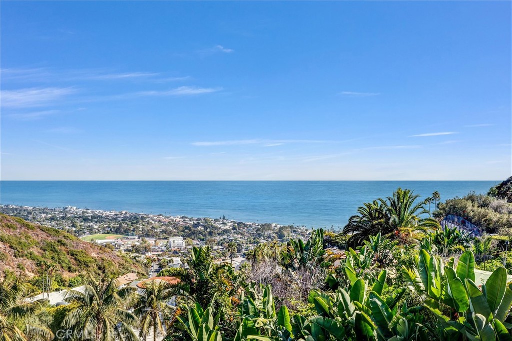 1326 Skyline, Laguna Beach CA 92651 - photo 50