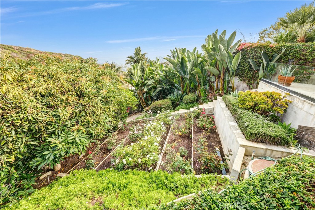 1326 Skyline, Laguna Beach CA 92651 - photo 51