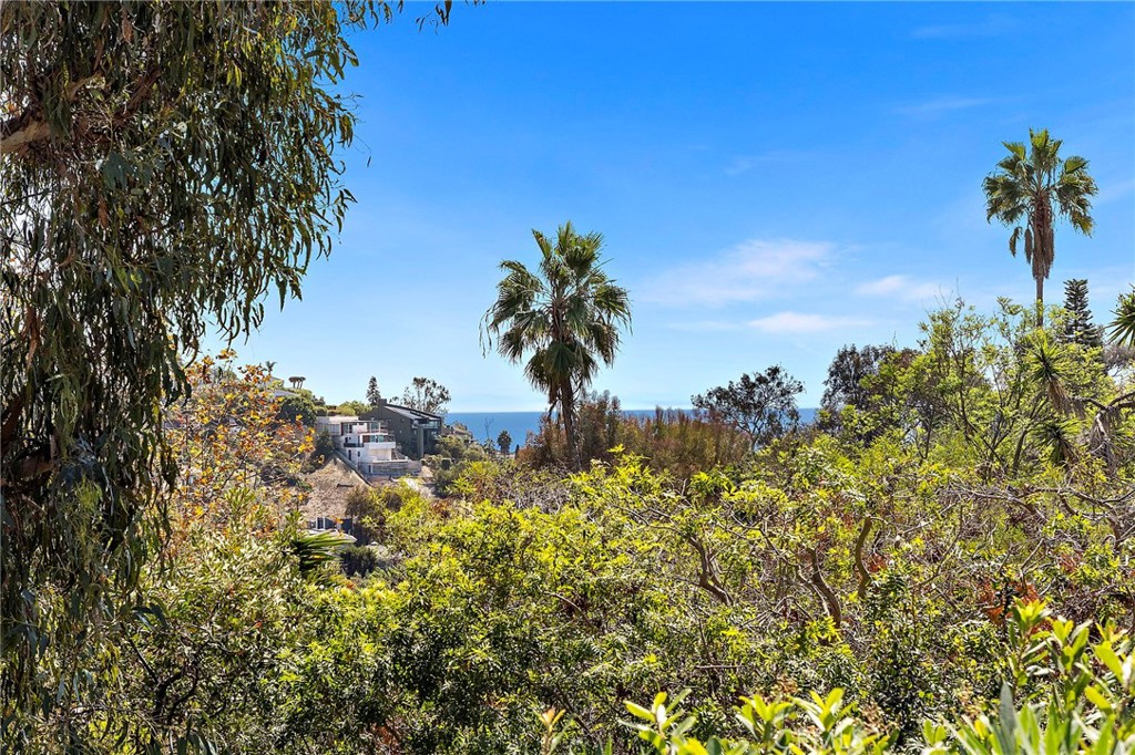 1334 Dunning Drive, Laguna Beach CA 92651 - photo 8