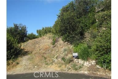 1414 Dunning Drive, Laguna Beach CA 92651 - photo 1