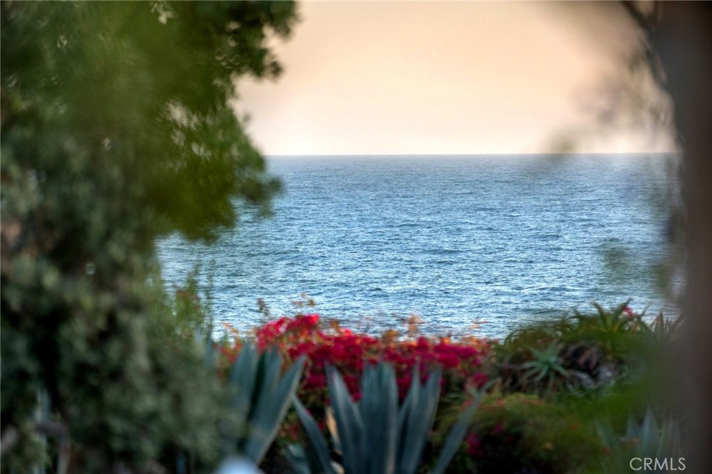 15 Montage Way, Laguna Beach CA 92651 - photo 37