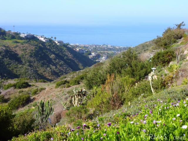 1625 Tahiti Avenue, Laguna Beach CA 92651 - photo 1