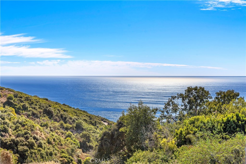 1630 Del Mar Avenue, Laguna Beach CA 92651 - photo 8