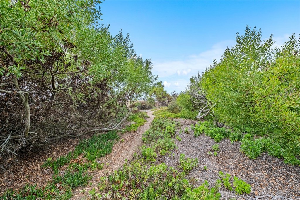1694 Del Mar, Laguna Beach CA 92651 - photo 1