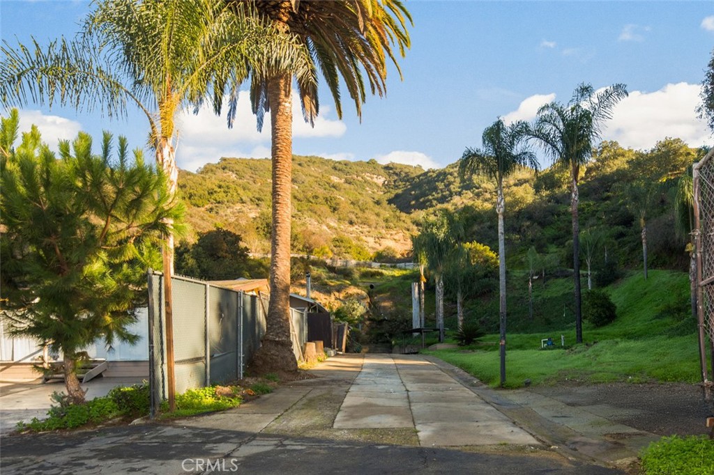 Another View of Driveway - 21431 Stans Lane, Laguna Beach CA 92651 - photo 6