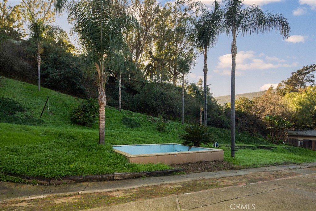 View of pool currently not filled w/water - 21431 Stans Lane, Laguna Beach CA 92651 - photo 13