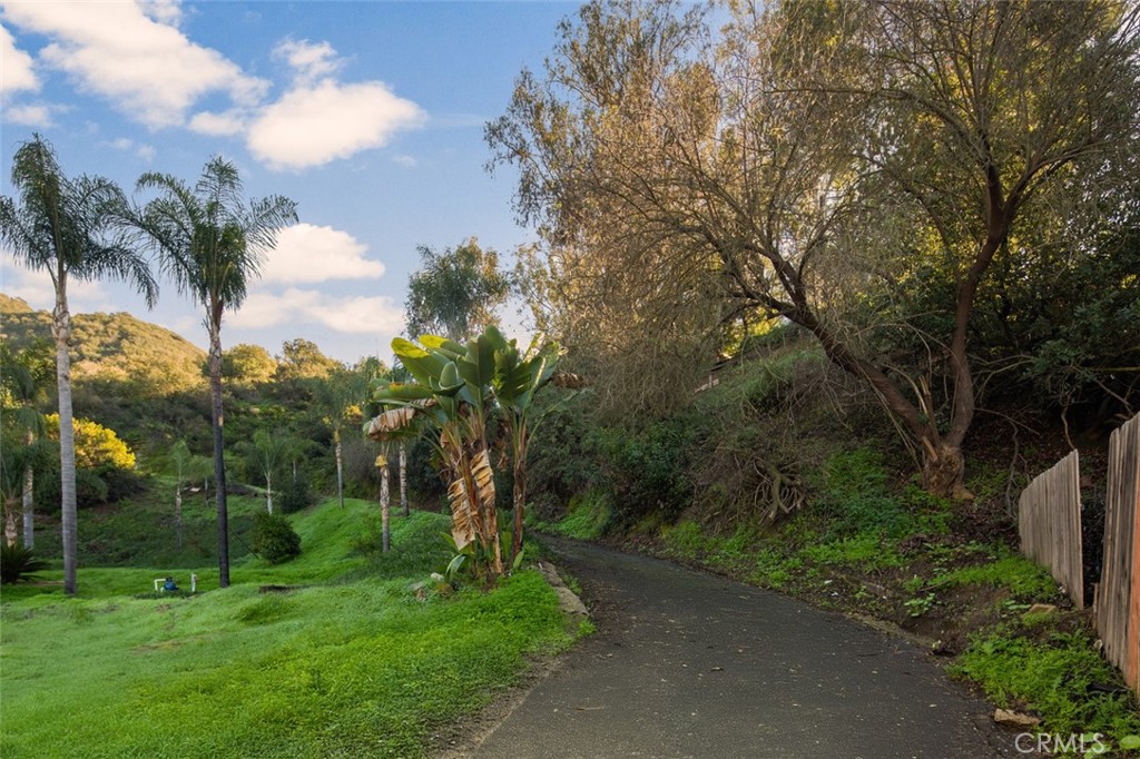 21431 Stans Lane, Laguna Beach CA 92651 - photo 14