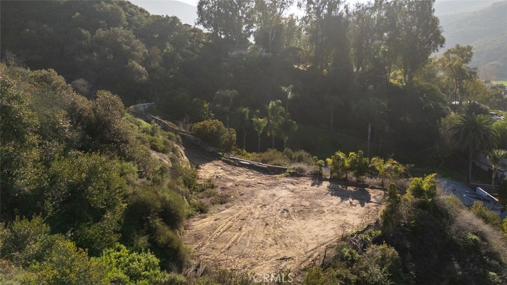 21431 Stans Lane, Laguna Beach CA 92651 - photo 17