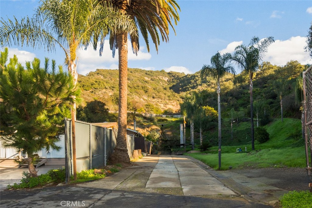 Another View of Driveway - 21431 Stans Lane, Laguna Beach CA 92651 - photo 6