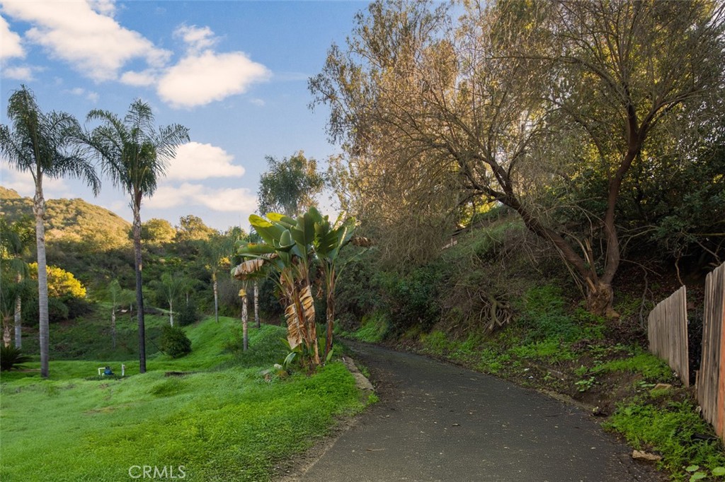 21431 Stans Lane, Laguna Beach CA 92651 - photo 14