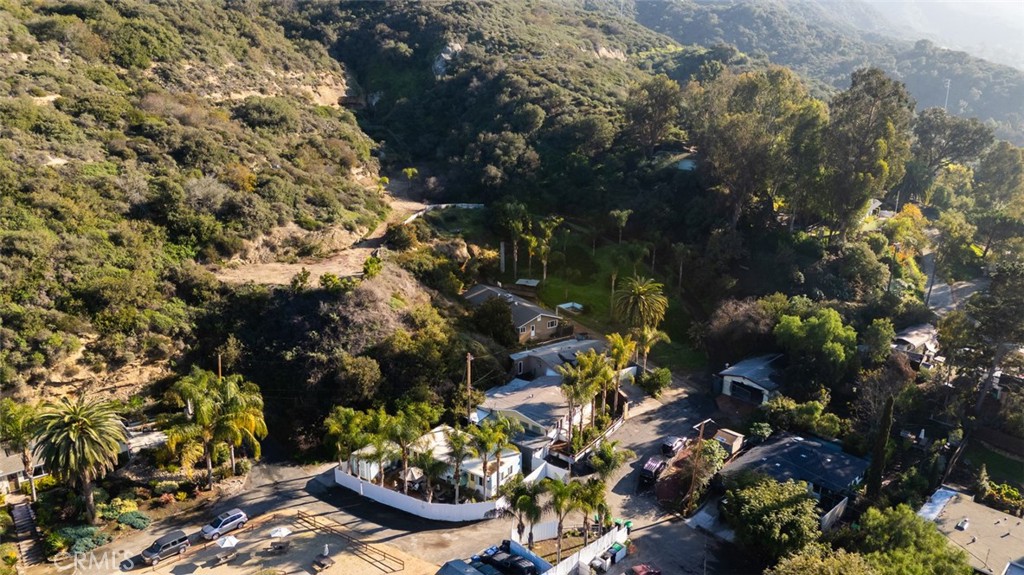 Beautiful Mountain Views - 21431 Stans Lane, Laguna Beach CA 92651 - photo 25