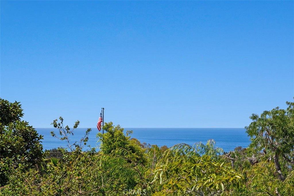 21462 Ocean Vista, Laguna Beach CA 92651 - photo 22