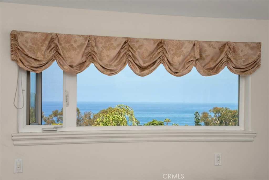view from Primary - 21462 Ocean Vista, Laguna Beach CA 92651 - photo 26