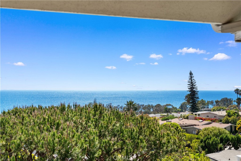 21662 Ocean Vista Drive D, Laguna Beach CA 92651 - photo 33