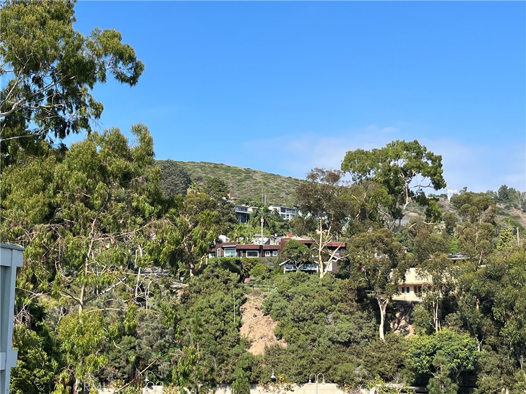 Boat Canyon Views - 217 Dolphin Way E, Laguna Beach CA 92651 - photo 3