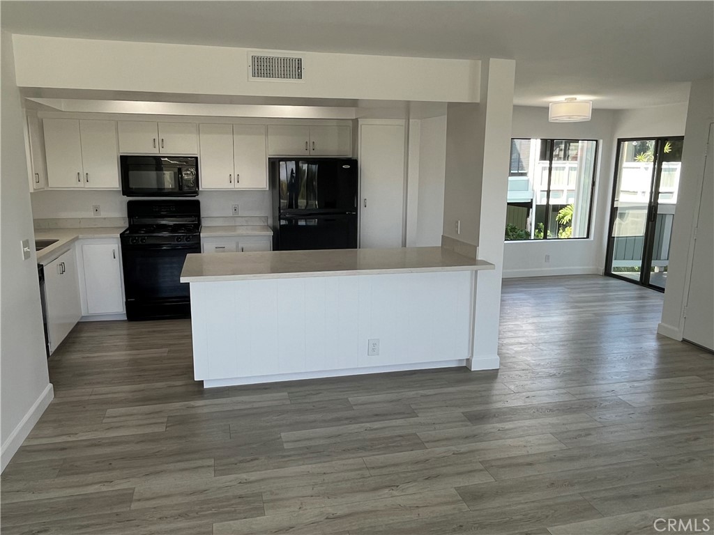 Open Kitchen - 217 Dolphin Way E, Laguna Beach CA 92651 - photo 6