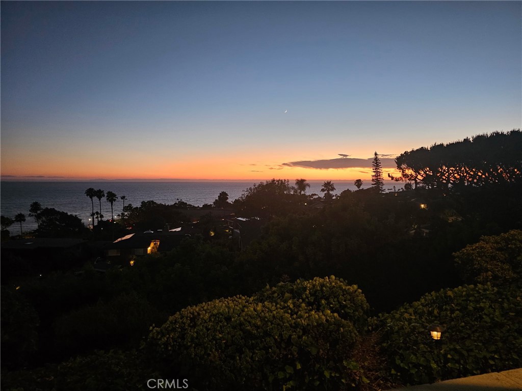 21711 Wesley Drive A, Laguna Beach CA 92651 - photo 20