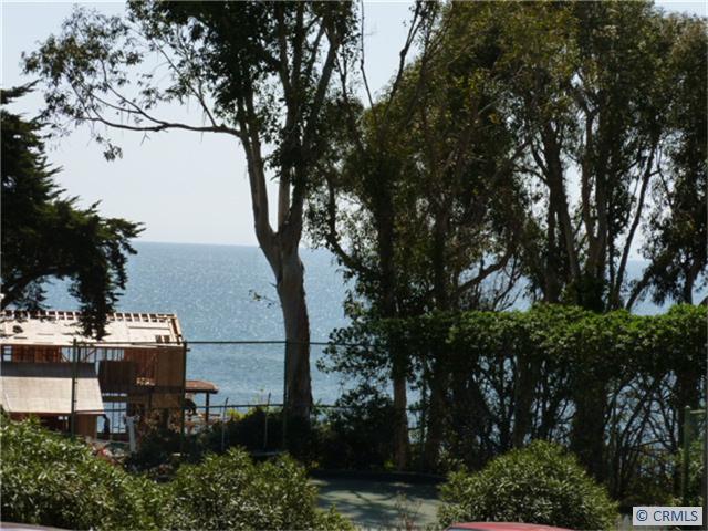 View from your bedroom and patio - 2175 S COAST Highway 1, Laguna Beach CA 92651 - photo 1