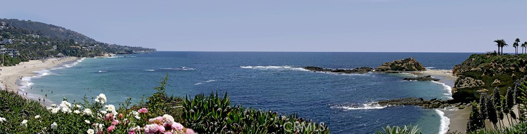 This could be the view on your daily excursions... - 21771 Ocean Vista Drive 29, Laguna Beach CA 92651 - photo 48